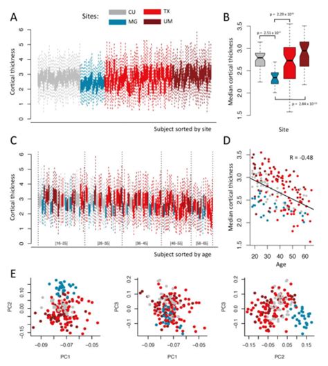 interdatabase variability in cortical thickness measurements|Interdatabase Variability in Cortical Thickness Measurements..